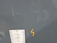 DRZWI PRZÓD PRAWE PASAŻERA Renault Master III 10-24 5d