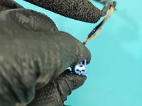 Instalacja Wiązka drzwi przód lewych INFINITI QX50 24125