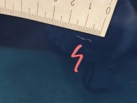 DRZWI PRZÓD PRAWE PASAŻERA Ford Focus Mk3 5d granatowy rf