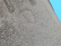 Nadkole tył prawe Renault Megane IV