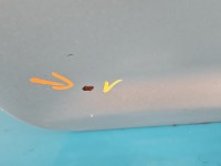 Drzwi tył prawe Vw Touran I HB 5d LA7W