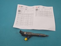 Wtryskiwacz Renault Megane II 0445110230, 8200389369 1.9 dci