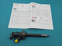 Wtryskiwacz Citroen Berlingo II 0445110311 1.6 hdi