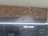 Klapa tył Alfa romeo 159 sedan 4d 802/B