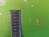 DRZWI PRZÓD PRAWE PASAŻERA Mini Cooper One I 00- R50 3d seledynowy