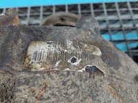 Most tylny DYFER tył Bmw e46 1428168 1.8 wiel