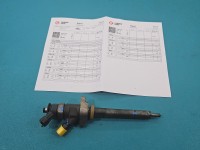 Wtryskiwacz Citroen C4 Grand picasso I 06-13 0445110297 1.6 HDi