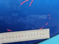 Klapa tył Skoda Octavia III HB 5d LF5W-8X8X