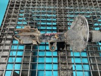 Amortyzator przód lewy przedni Kia Sportage II 04-10