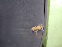 Fotel tył lewy II rząd tylny Vw Transporter T5 2 rząd