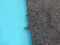 Wykładzina bagażnika podłoga Skoda Octavia III 5E9863463K