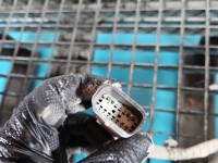 Piasta koła tył lewa zwrotnica łożysko Ford Focus Mk4 1.5 TDCI