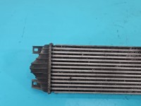 Intercooler Opel Movano II 2.5 cdti