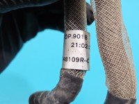 Czujnik ciśnienia spalin Dacia Sandero III 20- 227707094R-B, 186194711