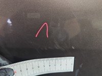 Drzwi tył prawe Renault Scenic III HB 5d brązowy TECNB