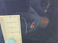 DRZWI PRZÓD LEWE KIEROWCY Opel Zafira A 5d