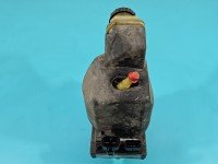 Pompa wspomagania Renault Laguna III 491109313R 2.0 dci (M9RP814)