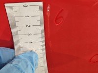 DRZWI PRZÓD PRAWE PASAŻERA Opel Vivaro 5d czerwony 79U (547)