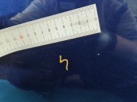 DRZWI PRZÓD PRAWE PASAŻERA Vw Jetta V 4d granatowy LD5Q