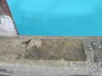 Wzmocnienie zderzaka przód belka Renault Scenic III Europejska przednie czarny TEGNE