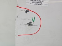 DRZWI PRZÓD LEWE KIEROWCY Nissan Micra K13 5d QM1