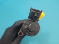 Wtryskiwacz Citroen Berlingo II 0445110311 1.6 HDi