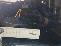 DRZWI PRZÓD LEWE KIEROWCY Nissan X-trail II T31 5d czarny