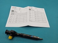 Wtryskiwacz Ford Mondeo Mk5 28388960, 9674984080 2.0 tdci (T8CC)