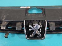 Atrapa grill Peugeot 307