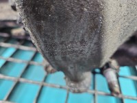 Skrzynia biegów 20LE94 Citroen C5 I 2.0 hdi