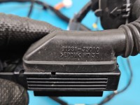 Instalacja Wiązka drzwi przód lewych Kia Stinger 91600-J5941