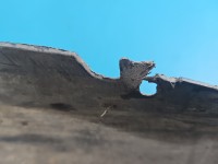 Nadkole przód prawe Ford S-max I MK1