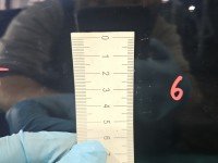 DRZWI PRZÓD PRAWE PASAŻERA Bmw f10 f11 5d A89