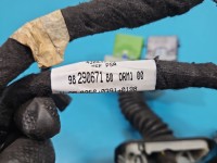 Instalacja Wiązka drzwi przód lewych Peugeot 3008 II 9829067180