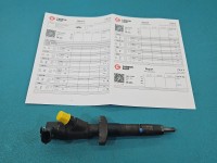 Wtryskiwacz Renault Master II 0445110265 2.5 dci