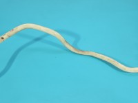 Rura przewód Mercedes Mercedes CLA C118 X118 A2474701602 1.3b