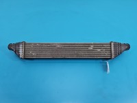 Intercooler Dodge Journey P5887001 2.0 CRD