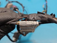 Instalacja Wiązka drzwi przód lewych BMW X6 E71 9242070, 9203113