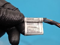 Instalacja Wiązka drzwi przód prawych BMW X6 E71 9242074