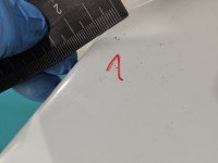 Błotnik przód lewy Ford Escape III 12- PNYW30 - Oxford White Solid C/C