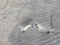 Wykładzina DYWAN PODŁOGA Renault Trafic III 749025620R