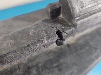 Wzmocnienie zderzaka przód belka Peugeot 5008 II 17-24 absorber pęknięte przednie EVL