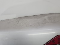 Klapa tył Ford Freestyle Taurus X HB 5d beżowy PNUPL0 - Silver Birch Metallic