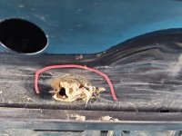 Klapa tył BAGAŻNIKA SZYBA Jeep Compass I 06-16 HB 5d Brak