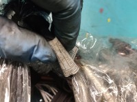 InstalacJa Wiązka silnika UEE1-E-50108216-000 2.0d JAGUAR XF II X260