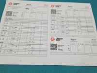 TESTOWANY Wtryskiwacz 0445110369, 03L130277J Skoda Yeti 2.0d CFJ 170KM