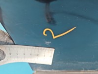 DRZWI PRZÓD PRAWE PASAŻERA Audi A3 8L 3d