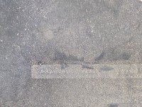 Wygłuszenie maski PODBITKA Citroen C4 II