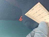 DRZWI PRZÓD LEWE KIEROWCY Ford Focus Mk1 5d