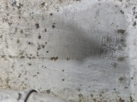 Kolektor ssący Skoda Octavia III M160739B 1.6 tdi